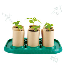 Load image into Gallery viewer, Hape Greenhouse
