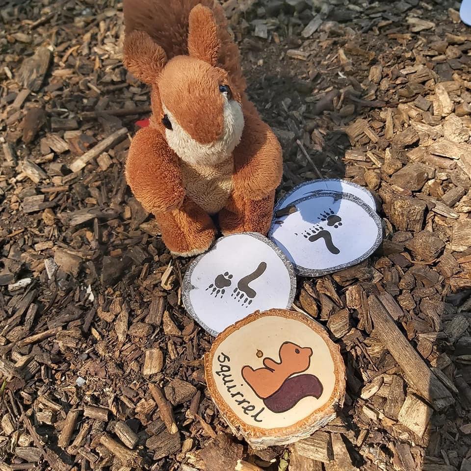 Green Earth Learning Animal Track Discs